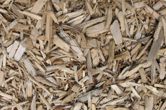 biomass boilers Beckermonds